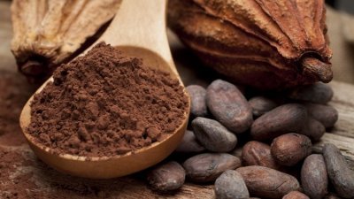 被迫裁员求存　可可豆价格飙涨压跨巧克力制造商