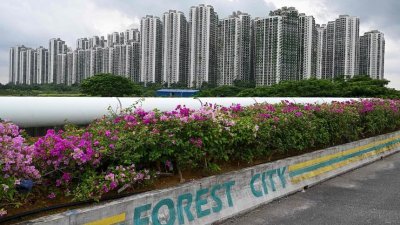 陈锦松：碧桂园森林城市的成败关键