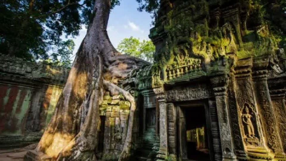最新数据，柬埔寨国际游客有望破两百万！