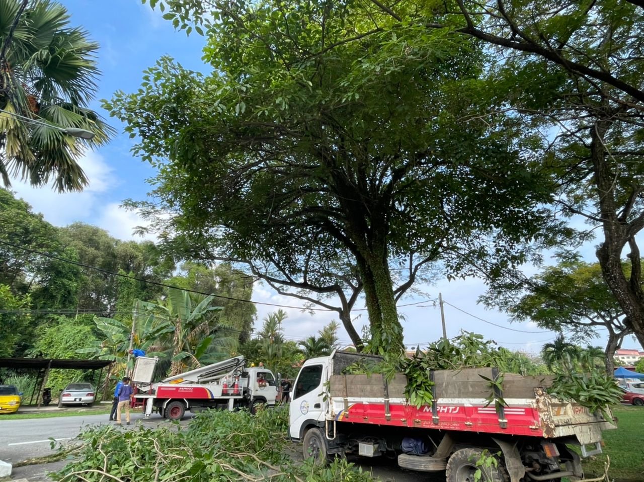 汉都亚再也市议会积极修剪茂盛树木。