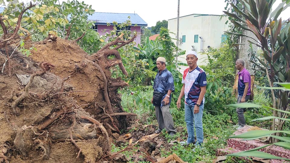 林梦日前遭遇狂风暴雨，导致当地一伊斯兰墓地的10座坟墓被大树压损。