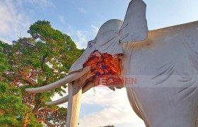 曼德勒附近发生三场地震，白象雕像造成一定程度的破坏