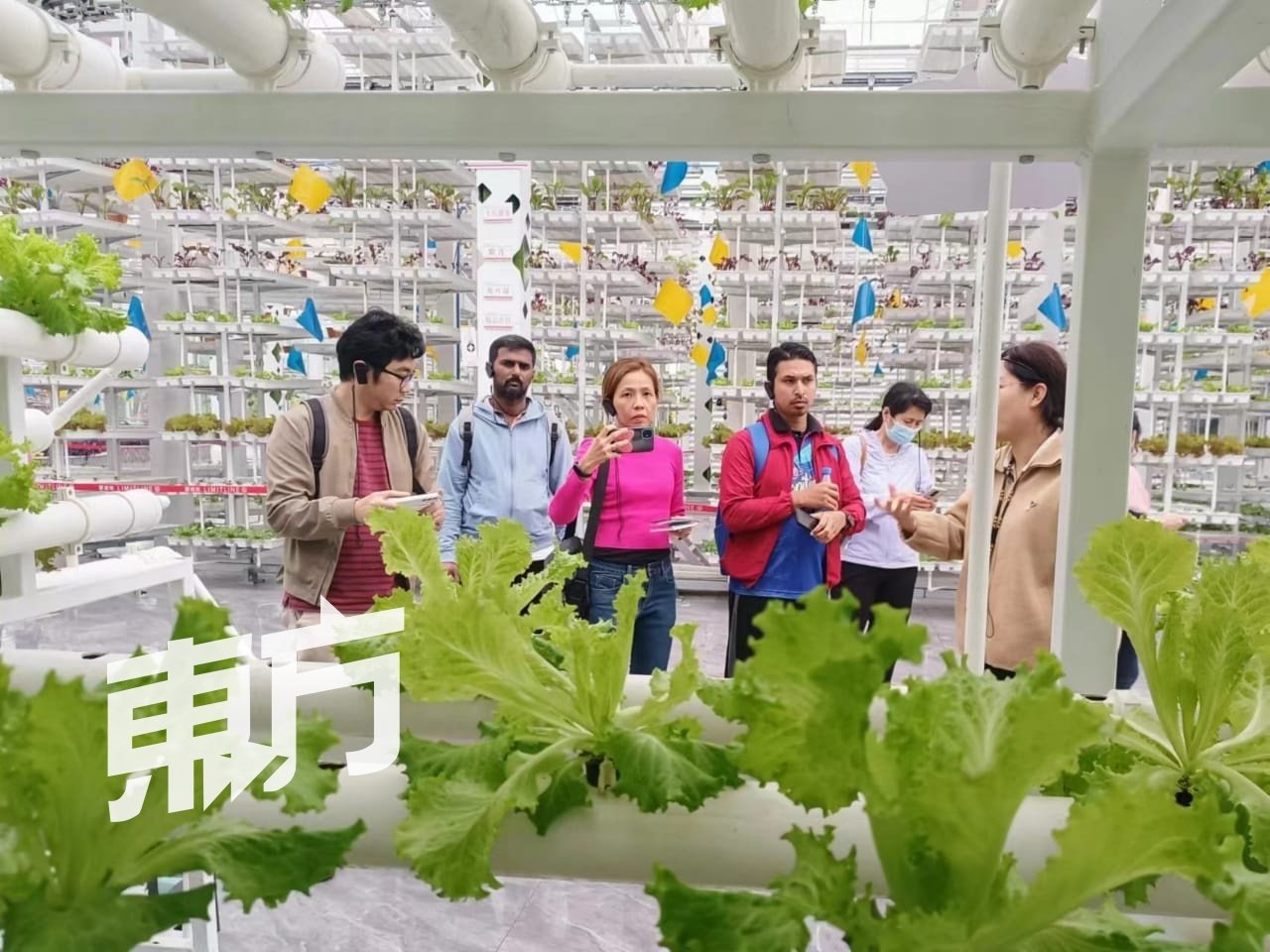 大马媒体团参观昌吉新疆农博园，了解当地的种业发展。