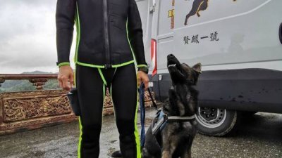 【虎豹潭意外】寻最后一失踪童　出动400人6搜救犬