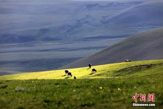 （资料图：雨后的新疆伊犁托乎拉苏大草原景色。中新社发 胡维斌 摄）