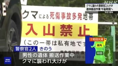 日本再传熊出没伤人　2警遇袭受重伤