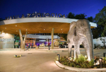 马尼拉市动物园预计一月开放 门票价格为100菲币