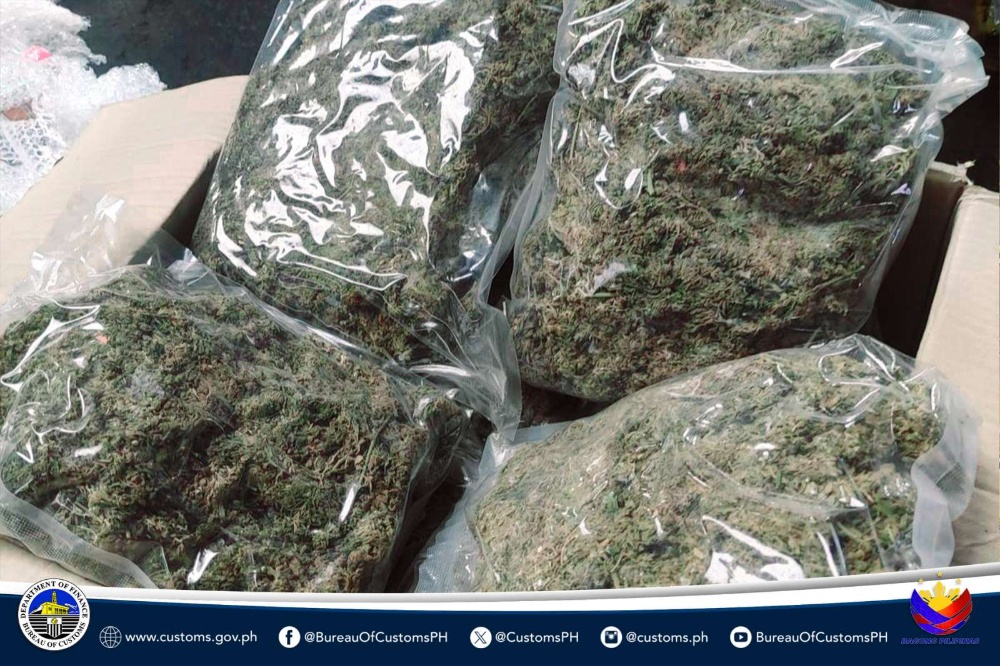 菲律宾海关局从归侨箱内查获7600万大麻