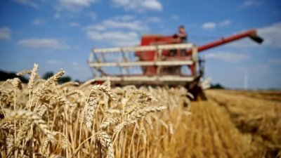 美国又不爽了?    俄罗斯将迎史上第2大农产丰收年