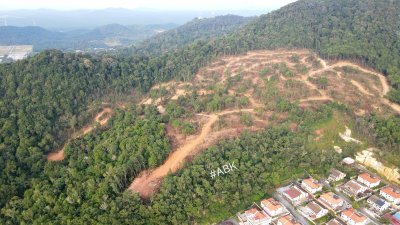 南峇山光秃山体将获修复　农地主被令停止砍伐 　